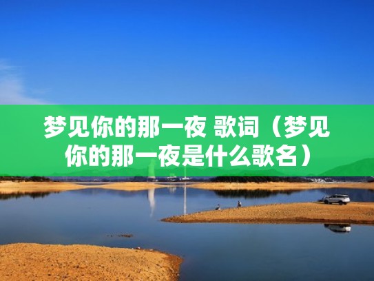 梦见你的那一夜 歌词（梦见你的那一夜是什么歌名）