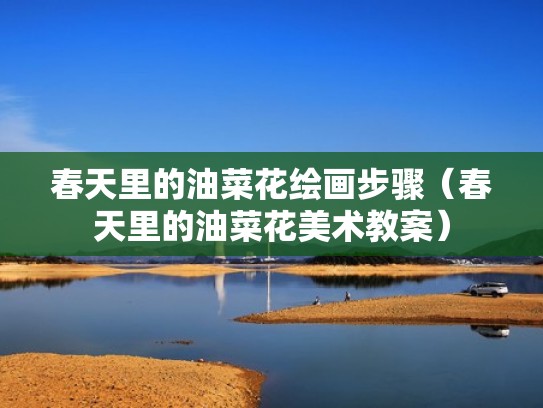 春天里的油菜花绘画步骤（春天里的油菜花美术教案）