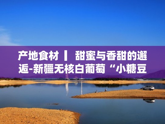 产地食材 ▎甜蜜与香甜的邂逅-新疆无核白葡萄“小糖豆”(新疆无核白葡萄是马奶葡萄吗) 产地食材 ▎甜蜜与香甜的邂逅-新疆无核白葡萄“小糖豆”(新疆无核白葡萄是马奶葡萄吗)