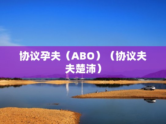 协议孕夫（ABO）（协议夫夫楚沛）