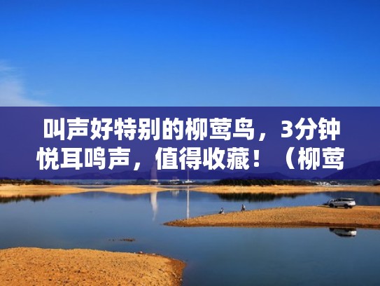 叫声好特别的柳莺鸟，3分钟悦耳鸣声，值得收藏！（柳莺叫声最好的是哪种）