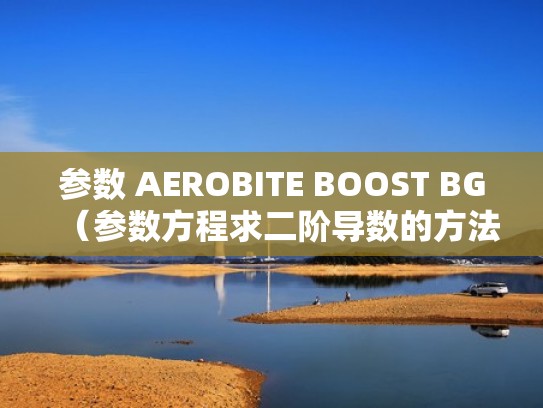 参数 AEROBITE BOOST BG（参数方程求二阶导数的方法）