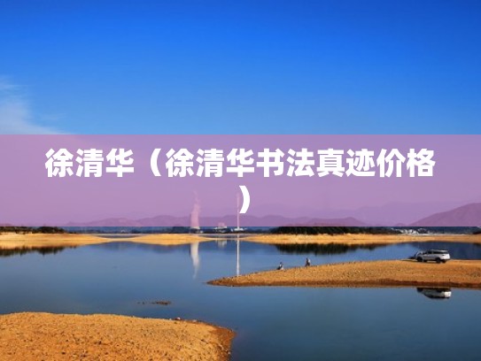 徐清华（徐清华书法真迹价格）