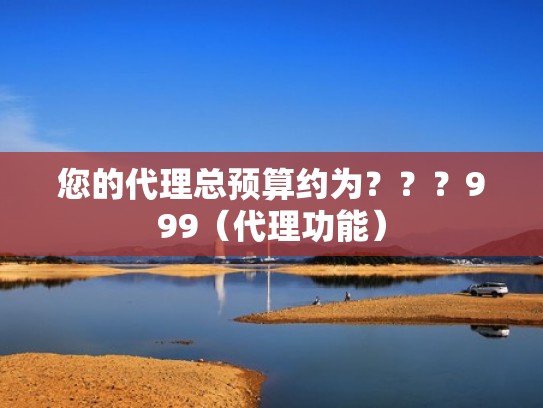 您的代理总预算约为？？？999（代理功能）