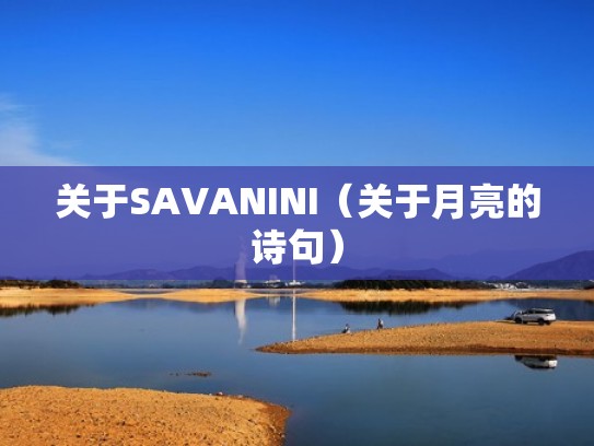 关于SAVANINI（关于月亮的诗句）