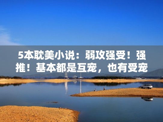 5本耽美小说：弱攻强受！强推！基本都是互宠，也有受宠攻（弱攻强受什么属性）