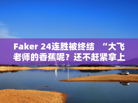 Faker 24连胜被终结  “大飞老师的香蕉呢？还不赶紧拿上来”（faker为什么叫飞大叔）