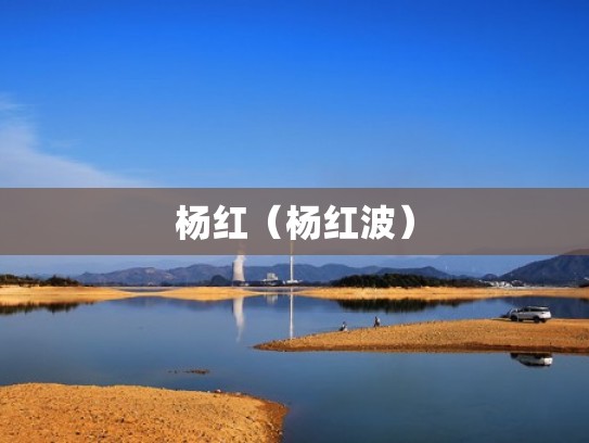 杨红（杨红波）