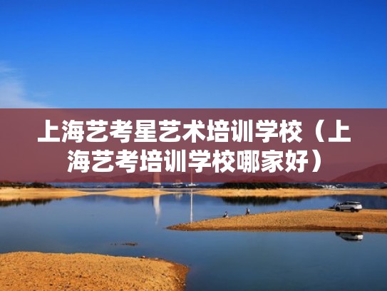 上海艺考星艺术培训学校（上海艺考培训学校哪家好）