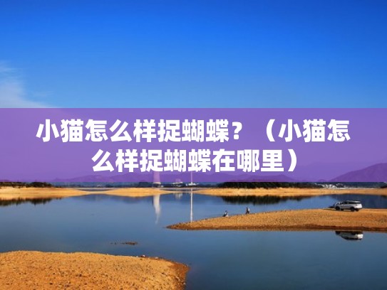 小猫怎么样捉蝴蝶?(小猫怎么样捉蝴蝶在哪里) 小猫怎么样捉蝴蝶?(小猫怎么样捉蝴蝶在哪里)