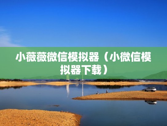 小薇薇微信模拟器(小微信模拟器下载) 小薇薇微信模拟器(小微信模拟器下载)