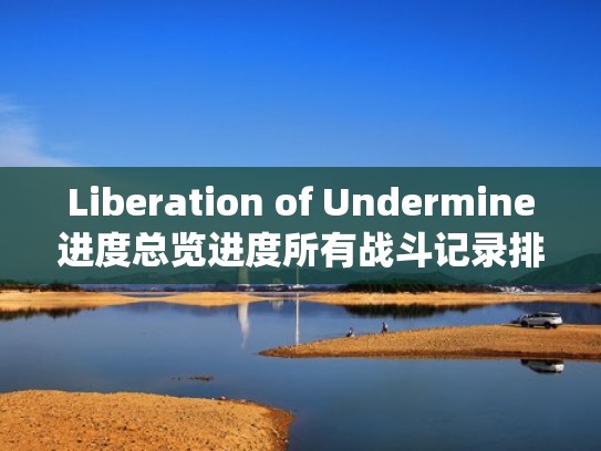 Liberation of Undermine进度总览进度所有战斗记录排名统计数据(undermine游戏攻略) Liberation of Undermine进度总览进度所有战斗记录排名统计数据(undermine游戏攻略)