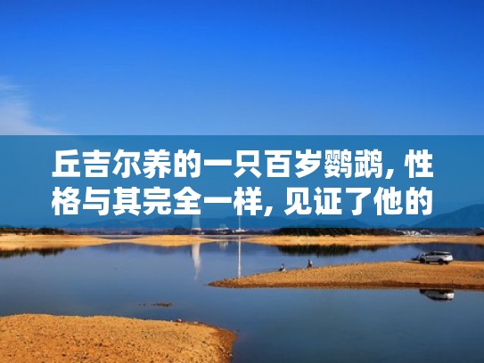 丘吉尔养的一只百岁鹦鹉, 性格与其完全一样, 见证了他的一生!（丘吉尔的鹦鹉查理）