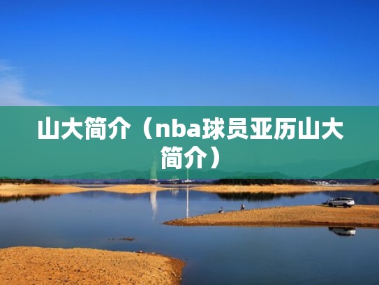 山大简介（nba球员亚历山大简介）