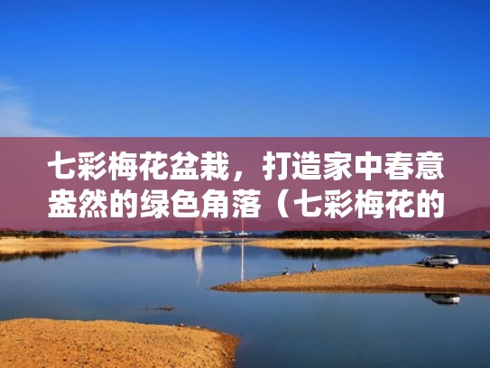 七彩梅花盆栽，打造家中春意盎然的绿色角落（七彩梅花的特征是什么）