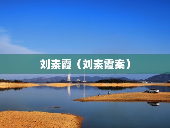 刘素霞（刘素霞案）