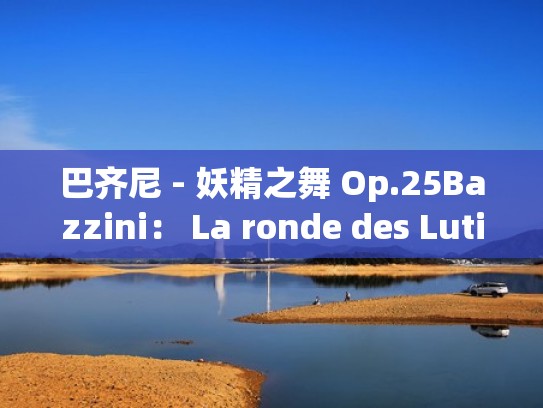 巴齐尼 - 妖精之舞 Op.25Bazzini： La ronde des Lutins, Op. 25（妖精之心）