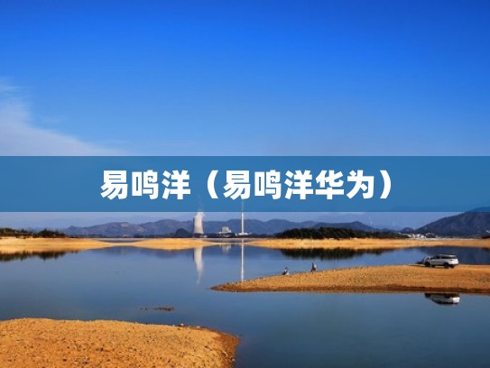 易鸣洋（易鸣洋华为）