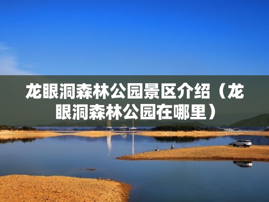 龙眼洞森林公园景区介绍（龙眼洞森林公园在哪里）