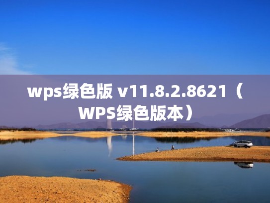 wps绿色版 v11.8.2.8621（WPS绿色版本）