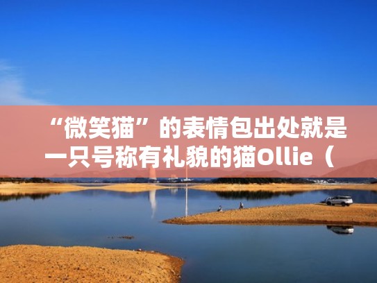 “微笑猫”的表情包出处就是一只号称有礼貌的猫Ollie（微笑猫是什么意思）