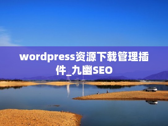 wordpress资源下载管理插件_九幽SEO