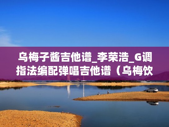 乌梅子酱吉他谱_李荣浩_G调指法编配弹唱吉他谱（乌梅饮子）