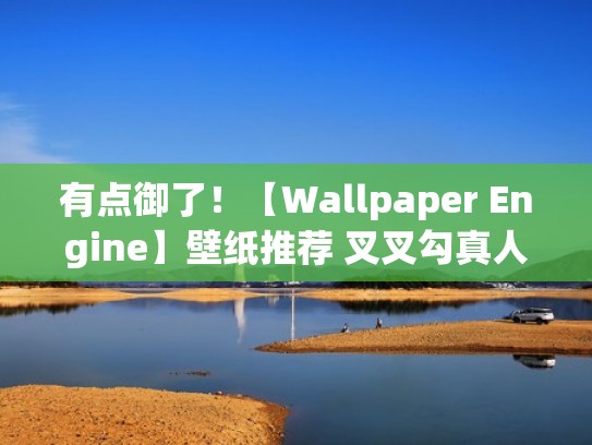 有点御了！【Wallpaper Engine】壁纸推荐 叉叉勾真人视频篇！（叉叉图片卡通）