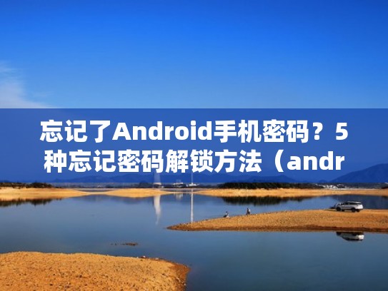 忘记了Android手机密码？5种忘记密码解锁方法（android 忘记 解锁密码）
