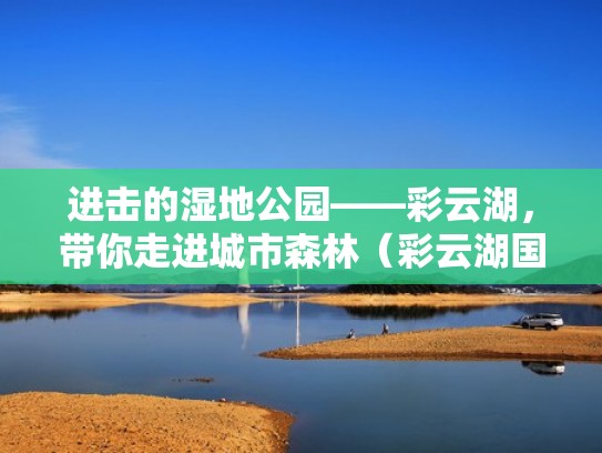 进击的湿地公园——彩云湖，带你走进城市森林（彩云湖国家湿地公园攻略）