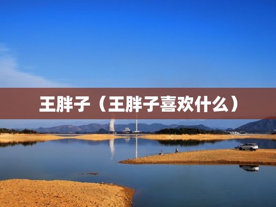 王胖子(王胖子喜欢什么) 王胖子(王胖子喜欢什么)