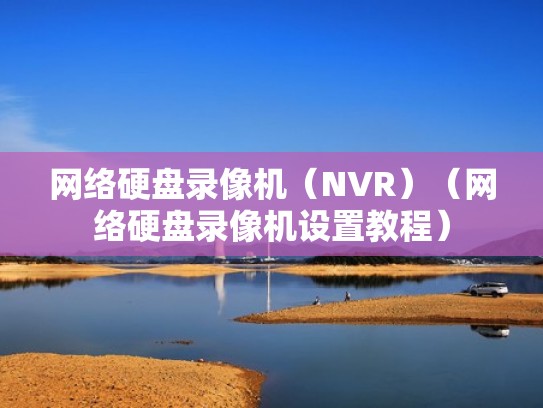 网络硬盘录像机(NVR)(网络硬盘录像机设置教程) 网络硬盘录像机(NVR)(网络硬盘录像机设置教程)