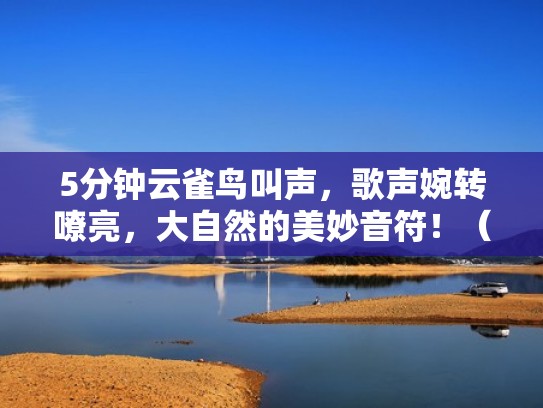 5分钟云雀鸟叫声，歌声婉转嘹亮，大自然的美妙音符！（云雀鸟的叫声云雀鸟）