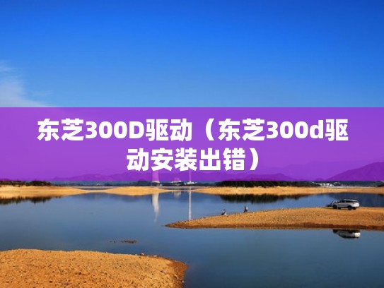 东芝300D驱动（东芝300d驱动安装出错）