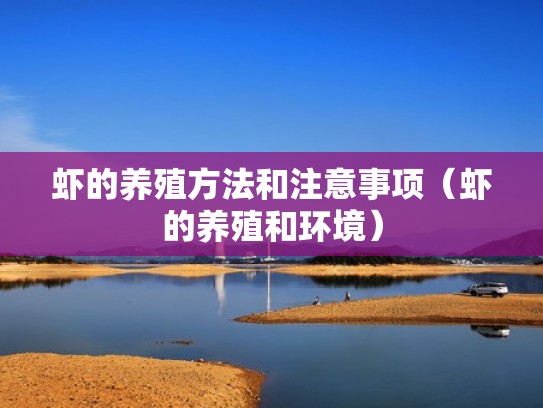 虾的养殖方法和注意事项（虾的养殖和环境）