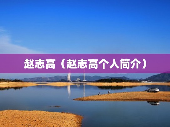 赵志高（赵志高个人简介）