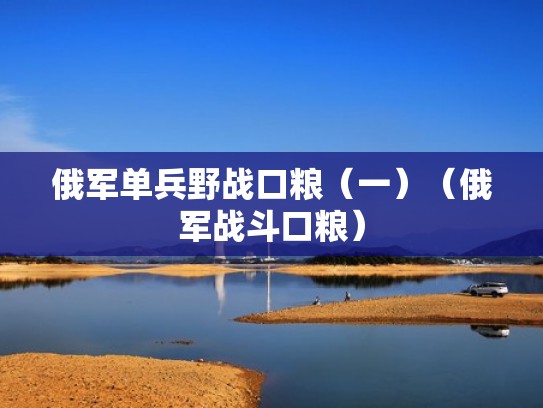 俄军单兵野战口粮（一）（俄军战斗口粮）