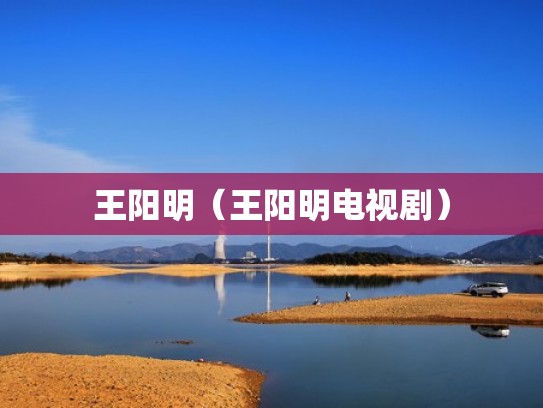王阳明(王阳明电视剧) 王阳明(王阳明电视剧)