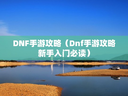 DNF手游攻略（Dnf手游攻略新手入门必读）