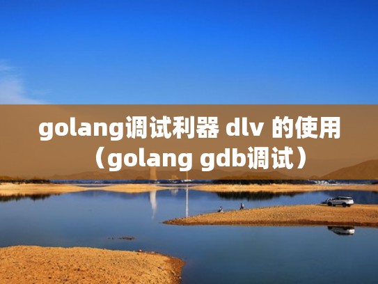 golang调试利器 dlv 的使用(golang gdb调试) golang调试利器 dlv 的使用(golang gdb调试)