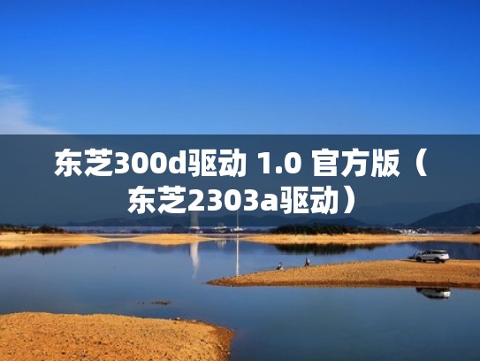 东芝300d驱动 1.0 官方版（东芝2303a驱动）