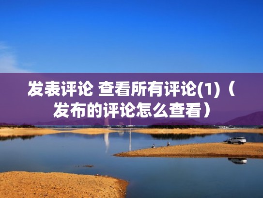 发表评论 查看所有评论(1)（发布的评论怎么查看）