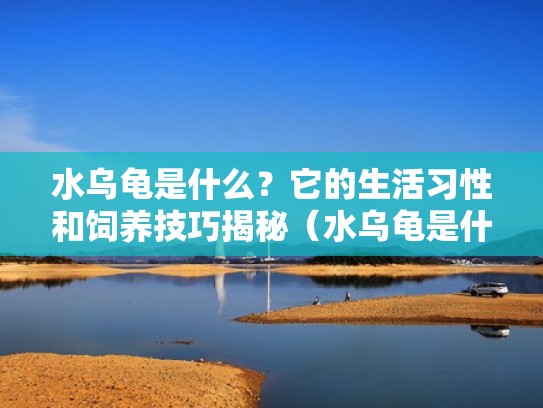 水乌龟是什么?它的生活习性和饲养技巧揭秘(水乌龟是什么东西) 水乌龟是什么?它的生活习性和饲养技巧揭秘(水乌龟是什么东西)