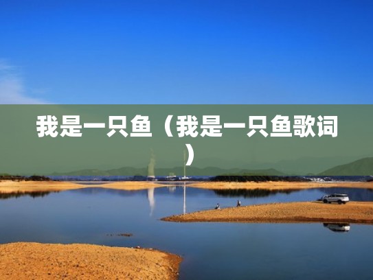 我是一只鱼（我是一只鱼歌词）