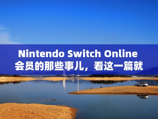 Nintendo Switch Online 会员的那些事儿，看这一篇就够啦（switch online会员多少钱一个月）