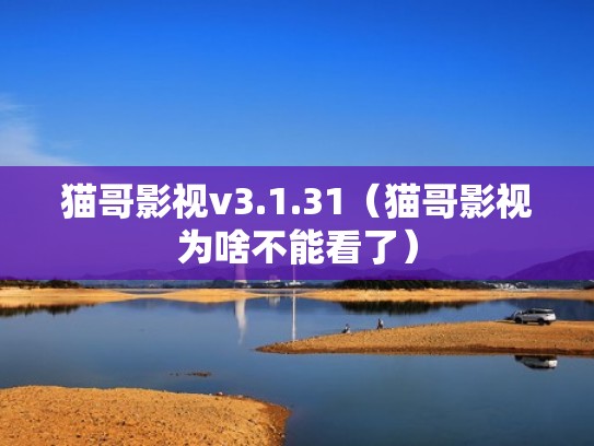猫哥影视v3.1.31（猫哥影视为啥不能看了）