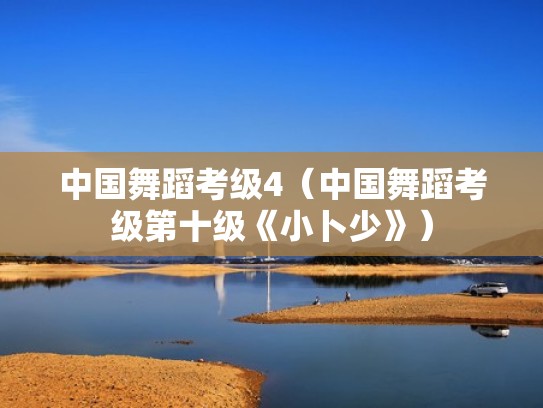 中国舞蹈考级4（中国舞蹈考级第十级《小卜少》）