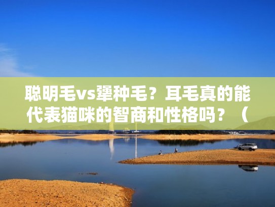 聪明毛vs犟种毛？耳毛真的能代表猫咪的智商和性格吗？（耳朵聪明毛）