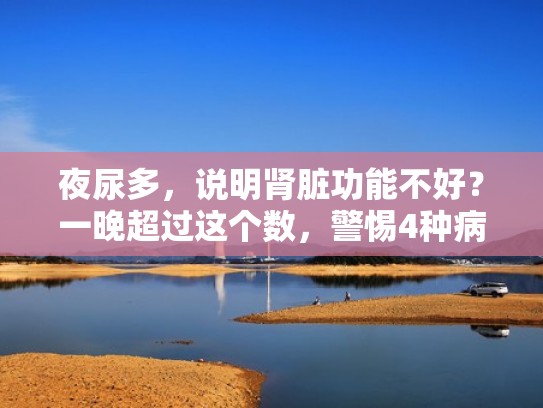 夜尿多，说明肾脏功能不好？一晚超过这个数，警惕4种病来临（夜尿多肾有问题吗）