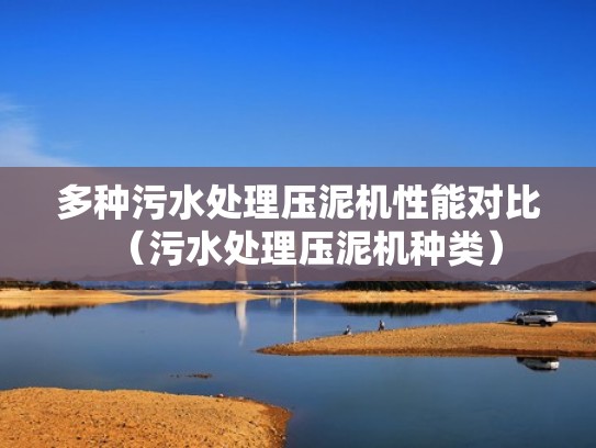 多种污水处理压泥机性能对比（污水处理压泥机种类）